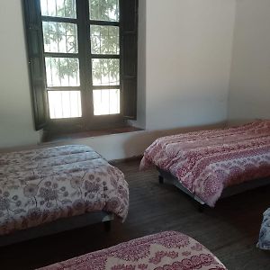 Habitación para Mujeres Compartida